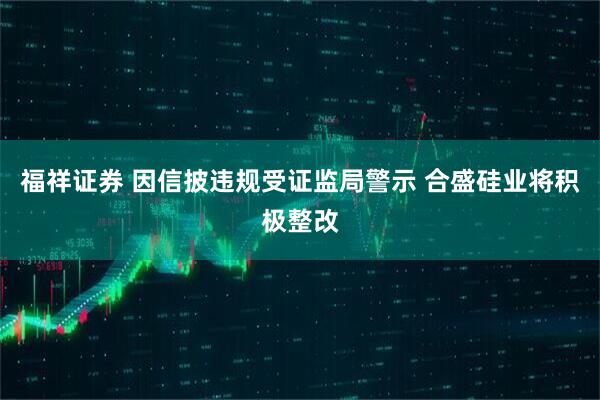 福祥证券 因信披违规受证监局警示 合盛硅业将积极整改